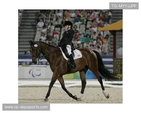 伊朗马术协会授予卡尔·阿里·阿尔达比“年度最佳盛装舞步骑手”称号。