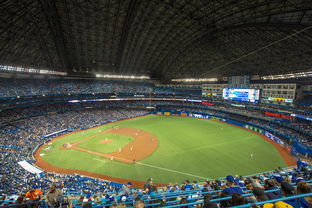 世界击剑锦标赛中国女花首次进四强，击剑世界冠军女