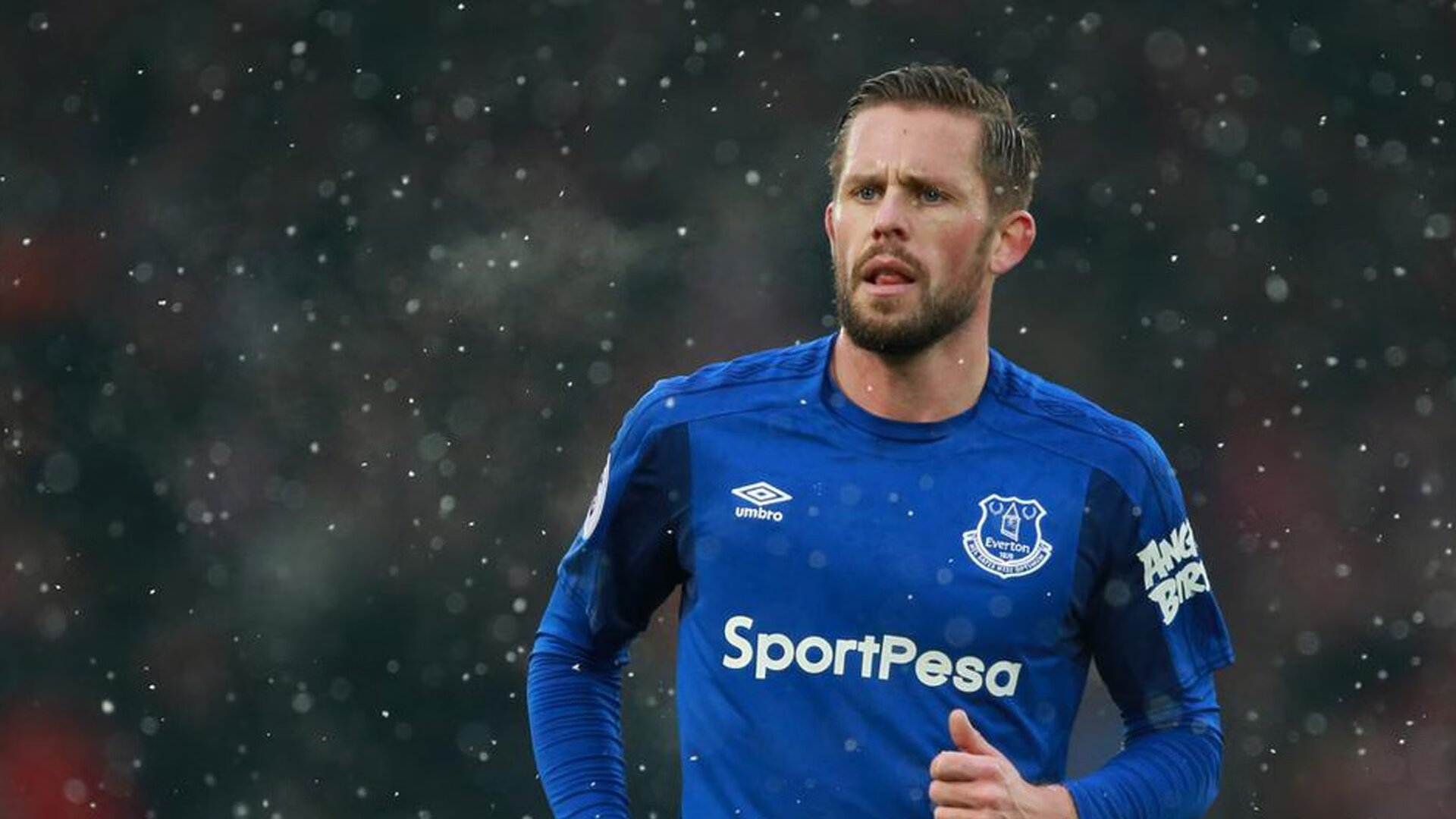 法甲赛事夜场照明质量对球迷体验影响研究